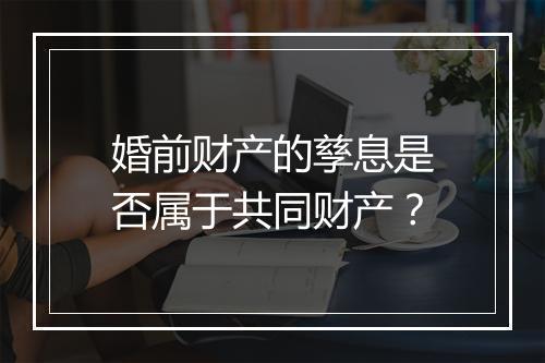 婚前财产的孳息是否属于共同财产？