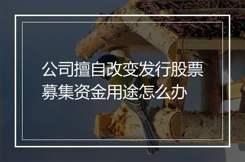 公司擅自改变发行股票募集资金用途怎么办