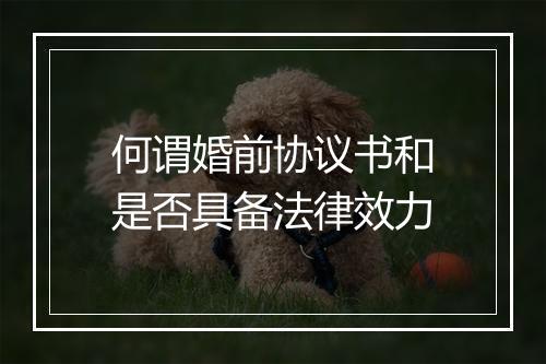 何谓婚前协议书和是否具备法律效力