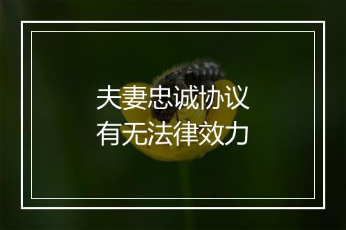 夫妻忠诚协议有无法律效力