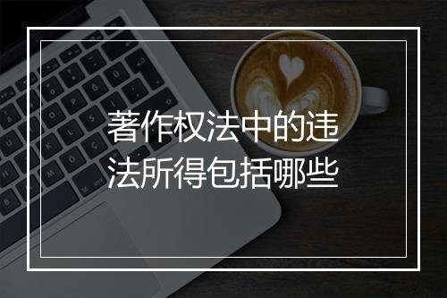 著作权法中的违法所得包括哪些
