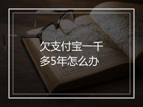 欠支付宝一千多5年怎么办