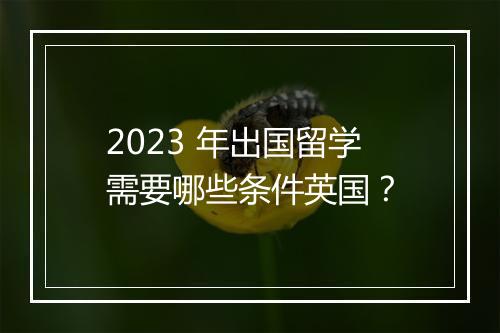 2023 年出国留学需要哪些条件英国？