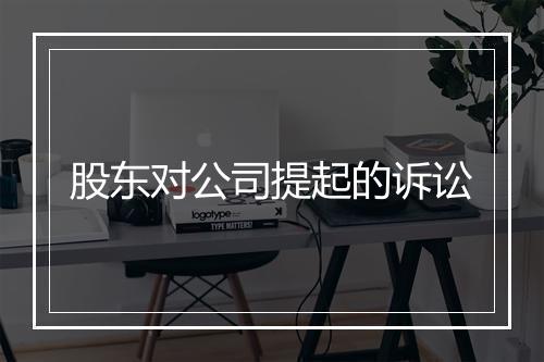 股东对公司提起的诉讼