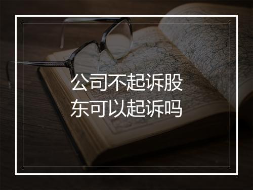 公司不起诉股东可以起诉吗