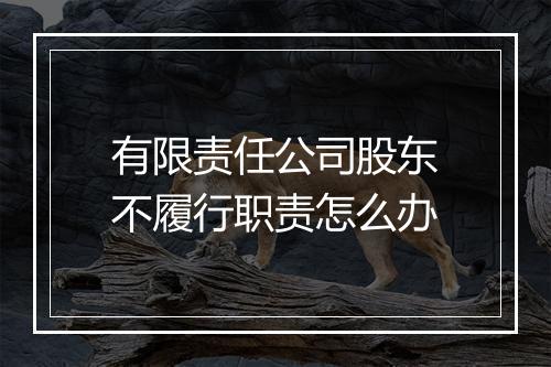 有限责任公司股东不履行职责怎么办