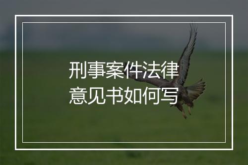 刑事案件法律意见书如何写