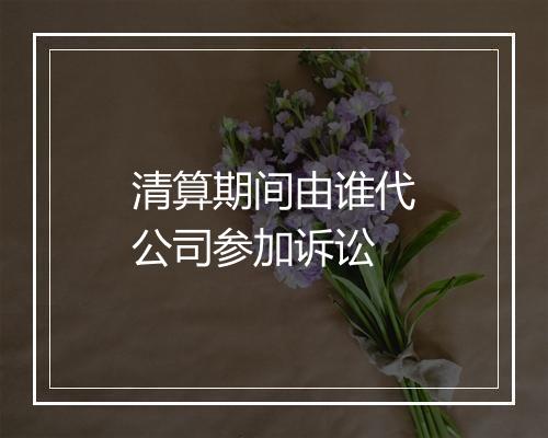 清算期间由谁代公司参加诉讼