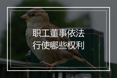 职工董事依法行使哪些权利