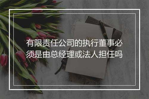 有限责任公司的执行董事必须是由总经理或法人担任吗