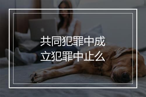 共同犯罪中成立犯罪中止么