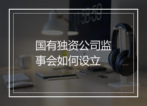 国有独资公司监事会如何设立