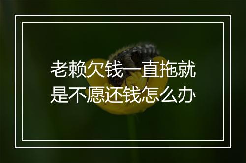 老赖欠钱一直拖就是不愿还钱怎么办