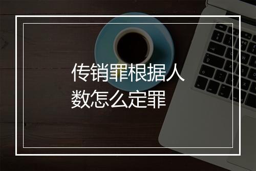 传销罪根据人数怎么定罪