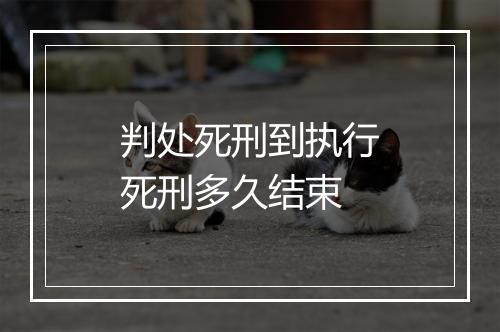 判处死刑到执行死刑多久结束
