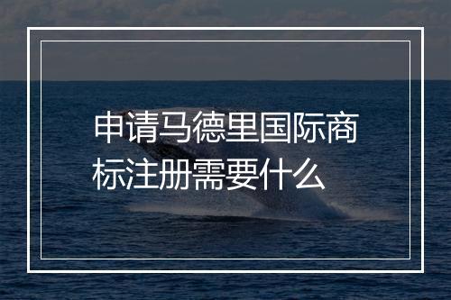 申请马德里国际商标注册需要什么