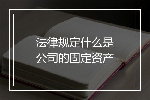 法律规定什么是公司的固定资产