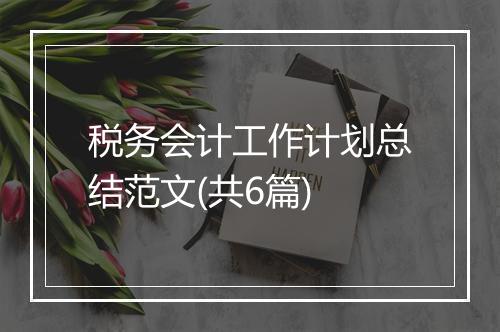 税务会计工作计划总结范文(共6篇)