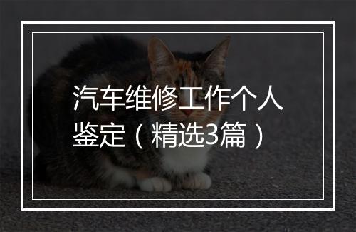 汽车维修工作个人鉴定（精选3篇）