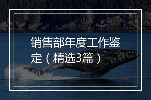销售部年度工作鉴定（精选3篇）