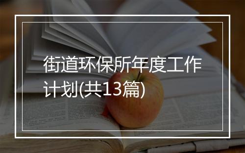 街道环保所年度工作计划(共13篇)