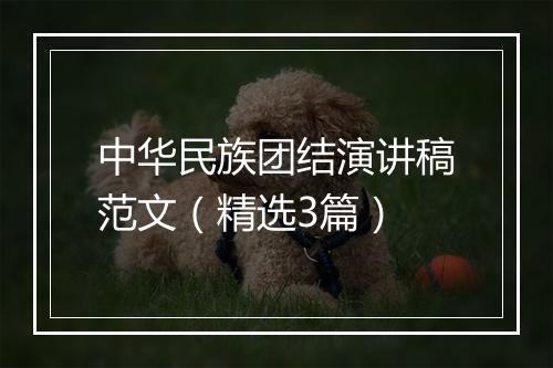 中华民族团结演讲稿范文（精选3篇）