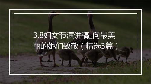 3.8妇女节演讲稿_向最美丽的她们致敬（精选3篇）