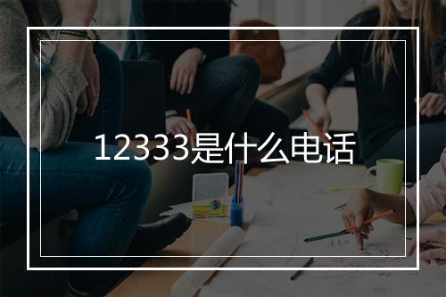 12333是什么电话