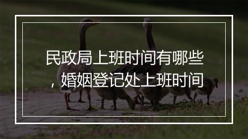 民政局上班时间有哪些，婚姻登记处上班时间