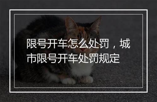 限号开车怎么处罚，城市限号开车处罚规定