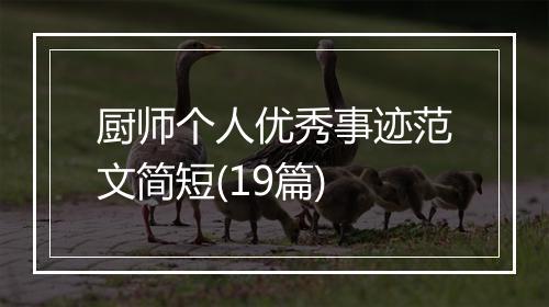 厨师个人优秀事迹范文简短(19篇)