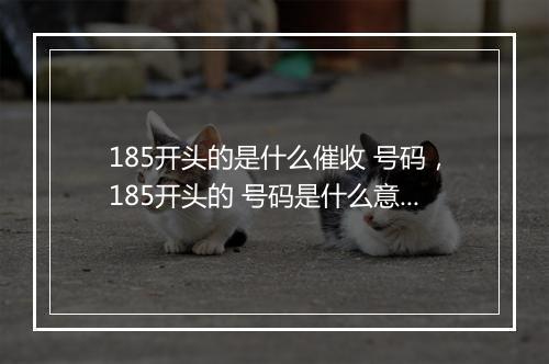 185开头的是什么催收 号码，185开头的 号码是什么意思