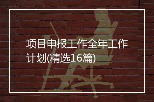 项目申报工作全年工作计划(精选16篇)