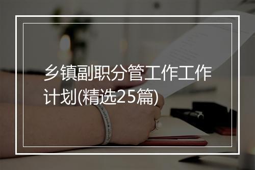 乡镇副职分管工作工作计划(精选25篇)