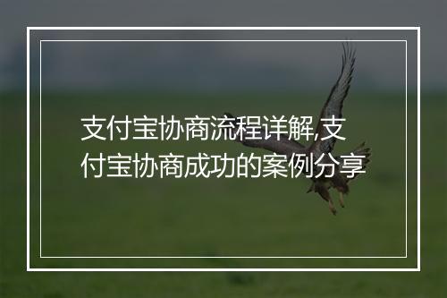 支付宝协商流程详解,支付宝协商成功的案例分享