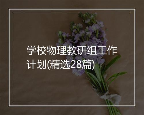 学校物理教研组工作计划(精选28篇)