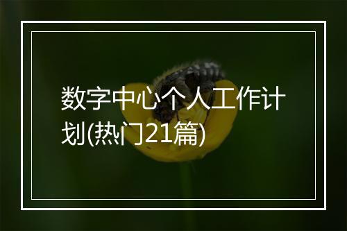数字中心个人工作计划(热门21篇)