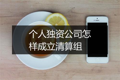 个人独资公司怎样成立清算组
