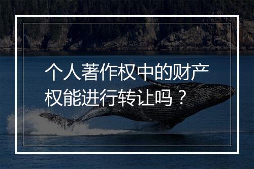 个人著作权中的财产权能进行转让吗？