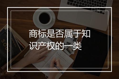 商标是否属于知识产权的一类