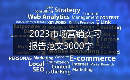 2023市场营销实习报告范文3000字