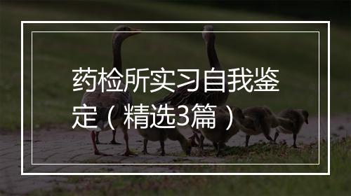 药检所实习自我鉴定（精选3篇）