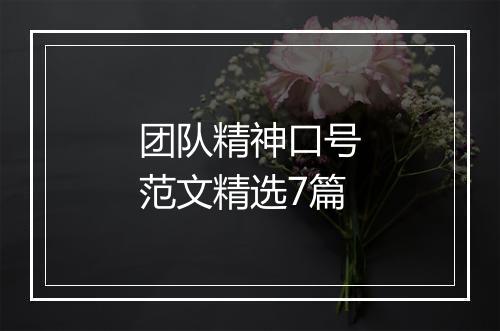 团队精神口号范文精选7篇