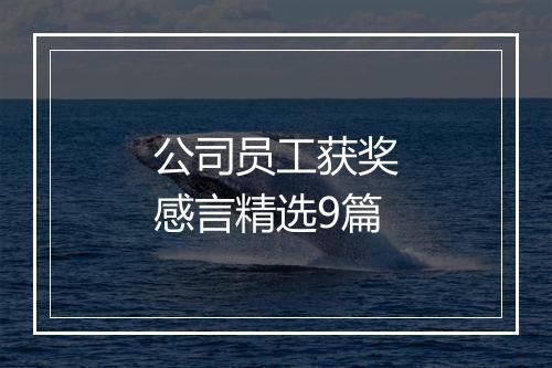 公司员工获奖感言精选9篇