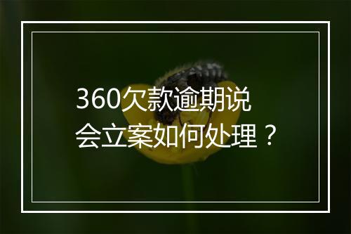 360欠款逾期说会立案如何处理？