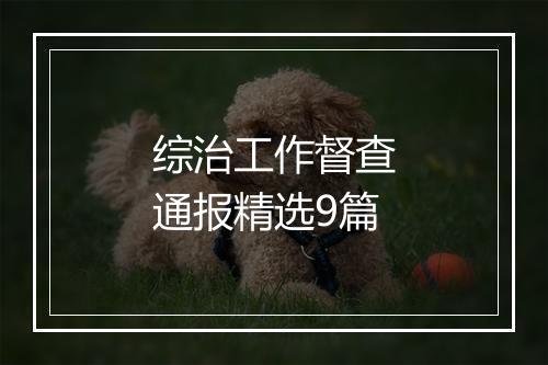 综治工作督查通报精选9篇