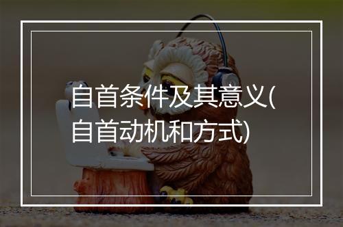自首条件及其意义(自首动机和方式)