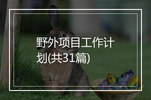 野外项目工作计划(共31篇)