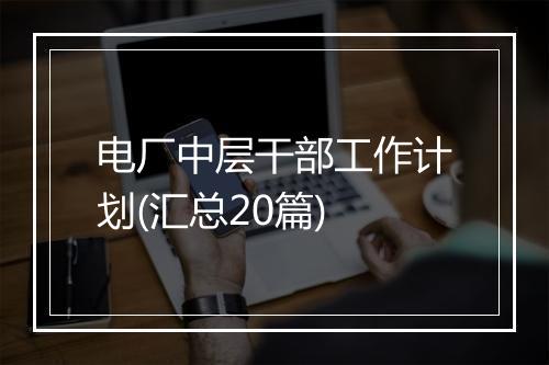 电厂中层干部工作计划(汇总20篇)