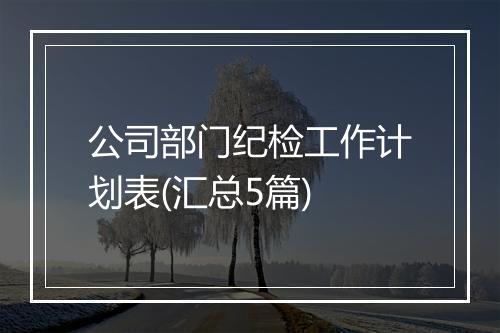 公司部门纪检工作计划表(汇总5篇)